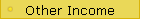 Other Income